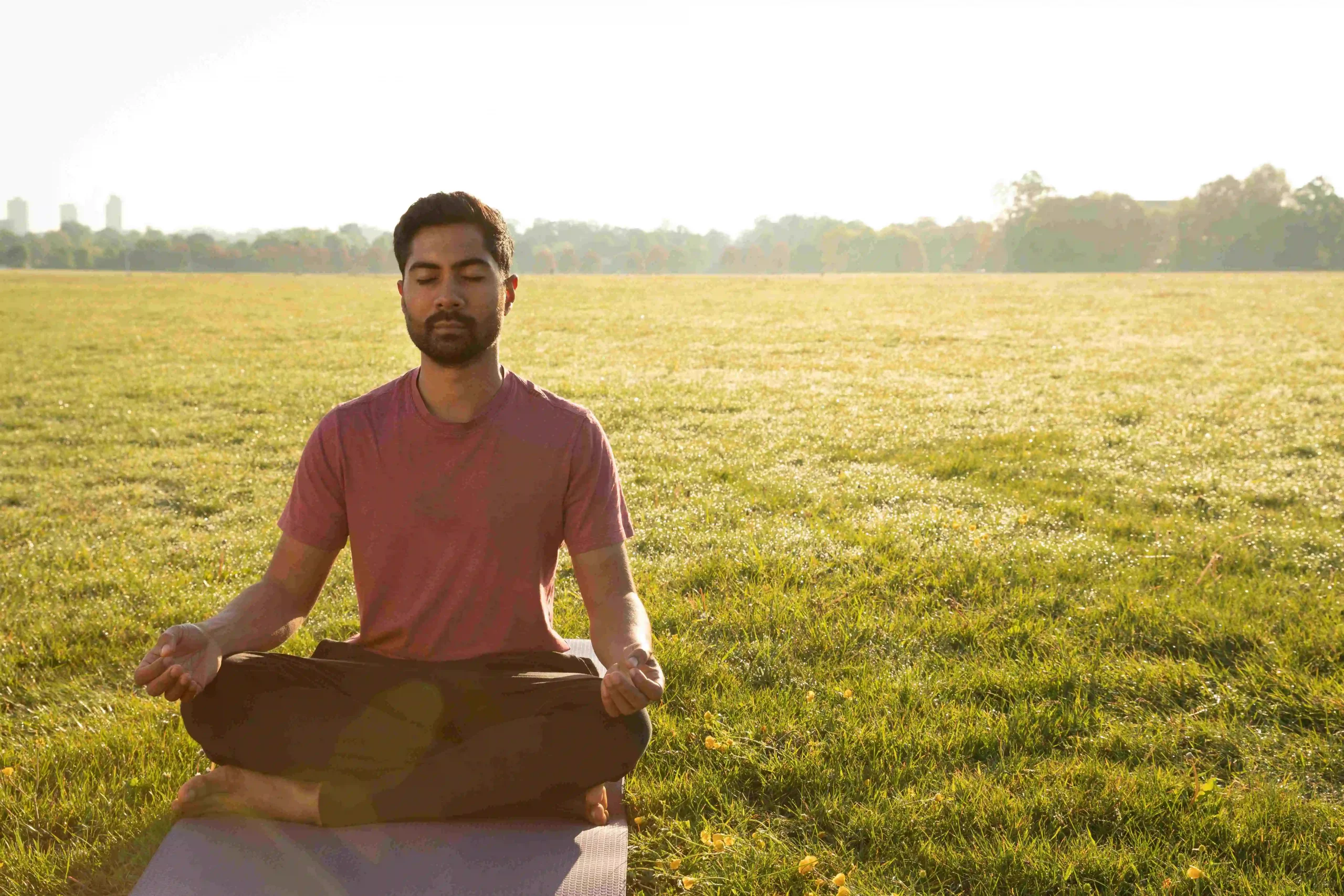 Mindfulness and Meditation in Daily Life